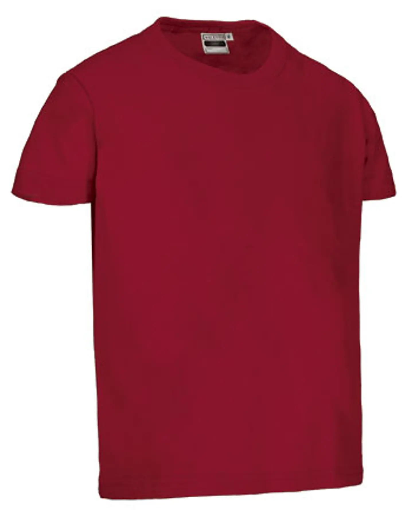 Camiseta infantil M/C DINO 7