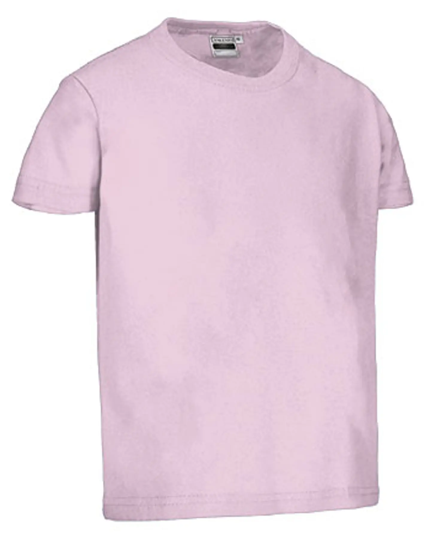 Camiseta infantil M/C DINO 8
