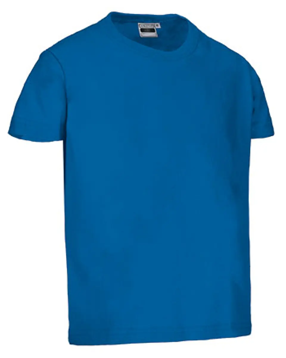 Camiseta infantil M/C DINO 12
