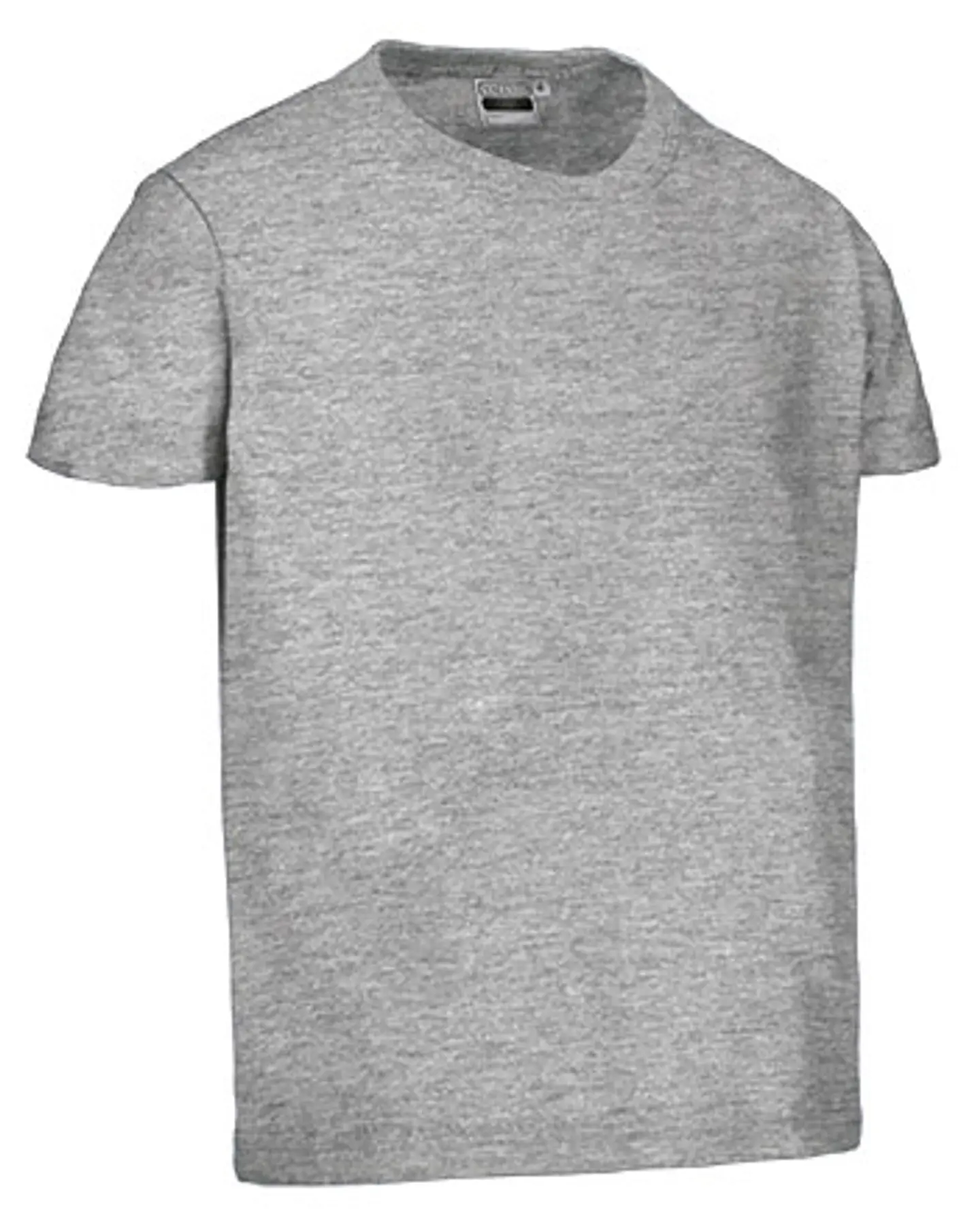 Camiseta infantil M/C DINO 14