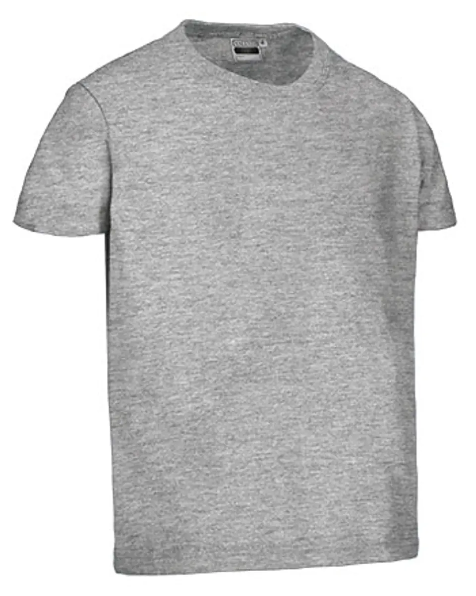 Camiseta infantil M/C DINO 14