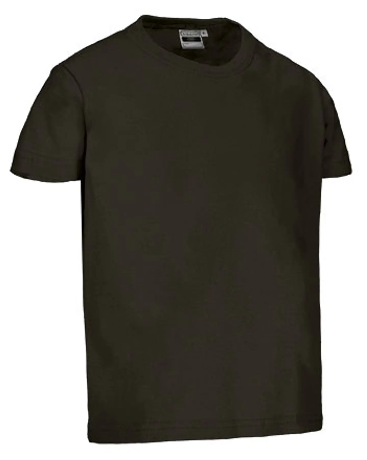 Camiseta infantil M/C DINO 15
