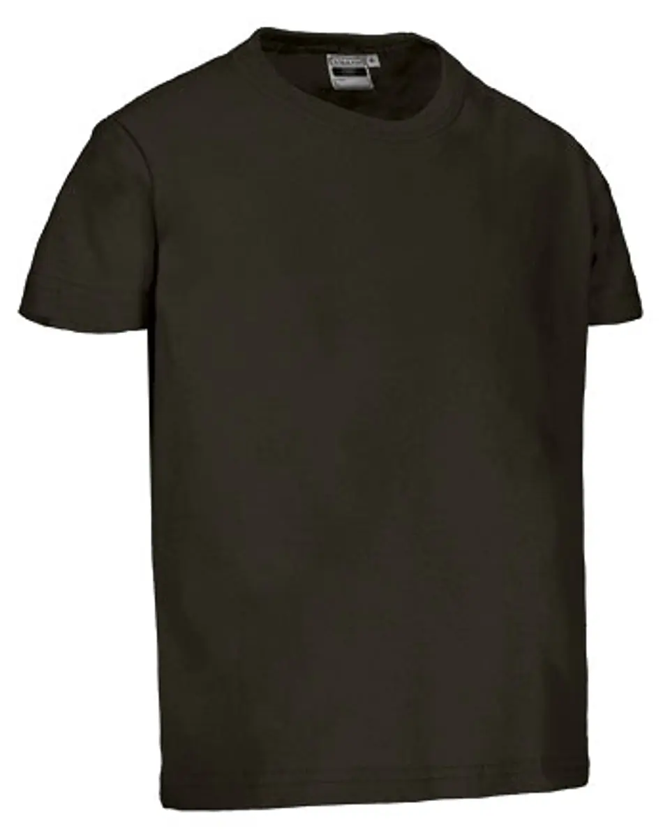 Camiseta infantil M/C DINO 15