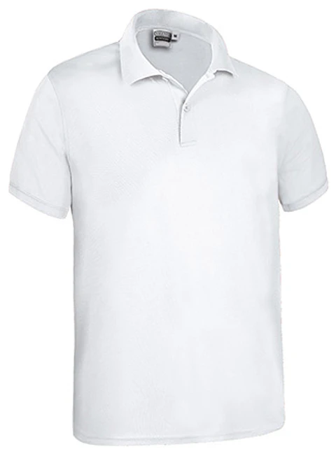 Polo M/C KENTUCKY
