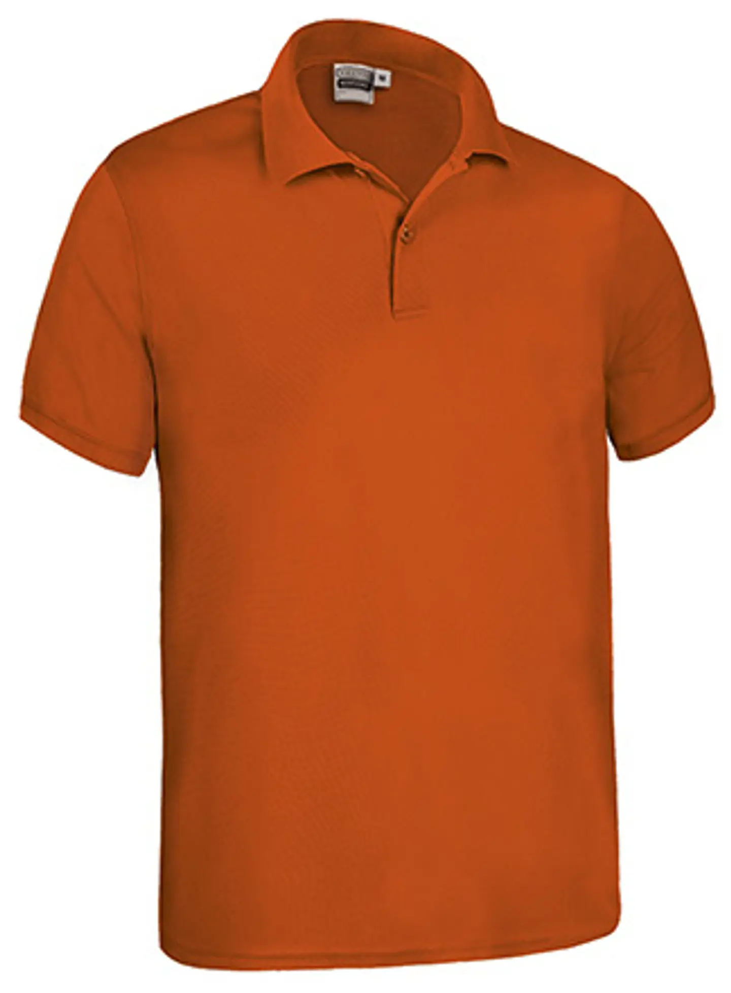 Polo M/C KENTUCKY 3