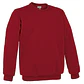 Sudadera STEVEN - Thumbnail 2
