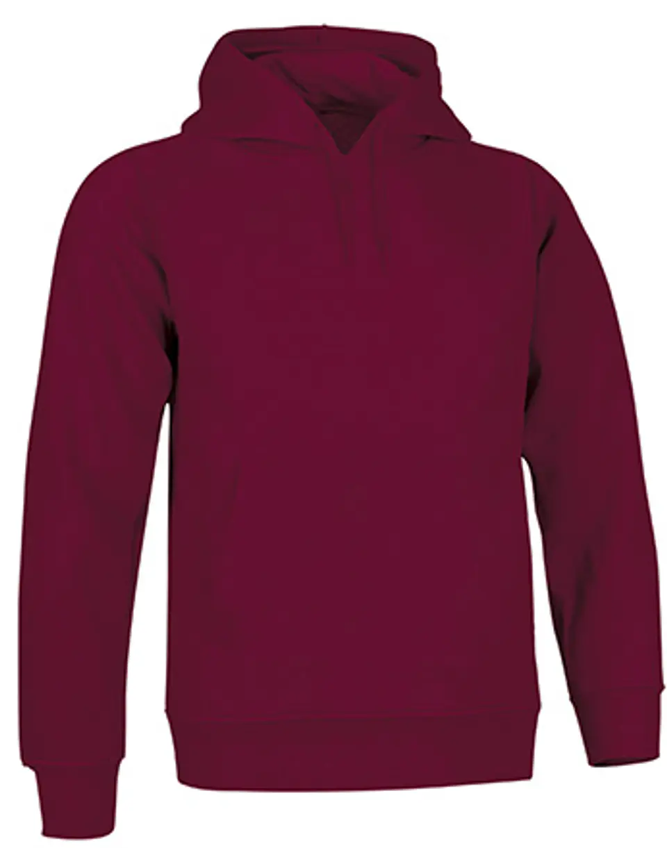 Sudadera ARIZONA 16