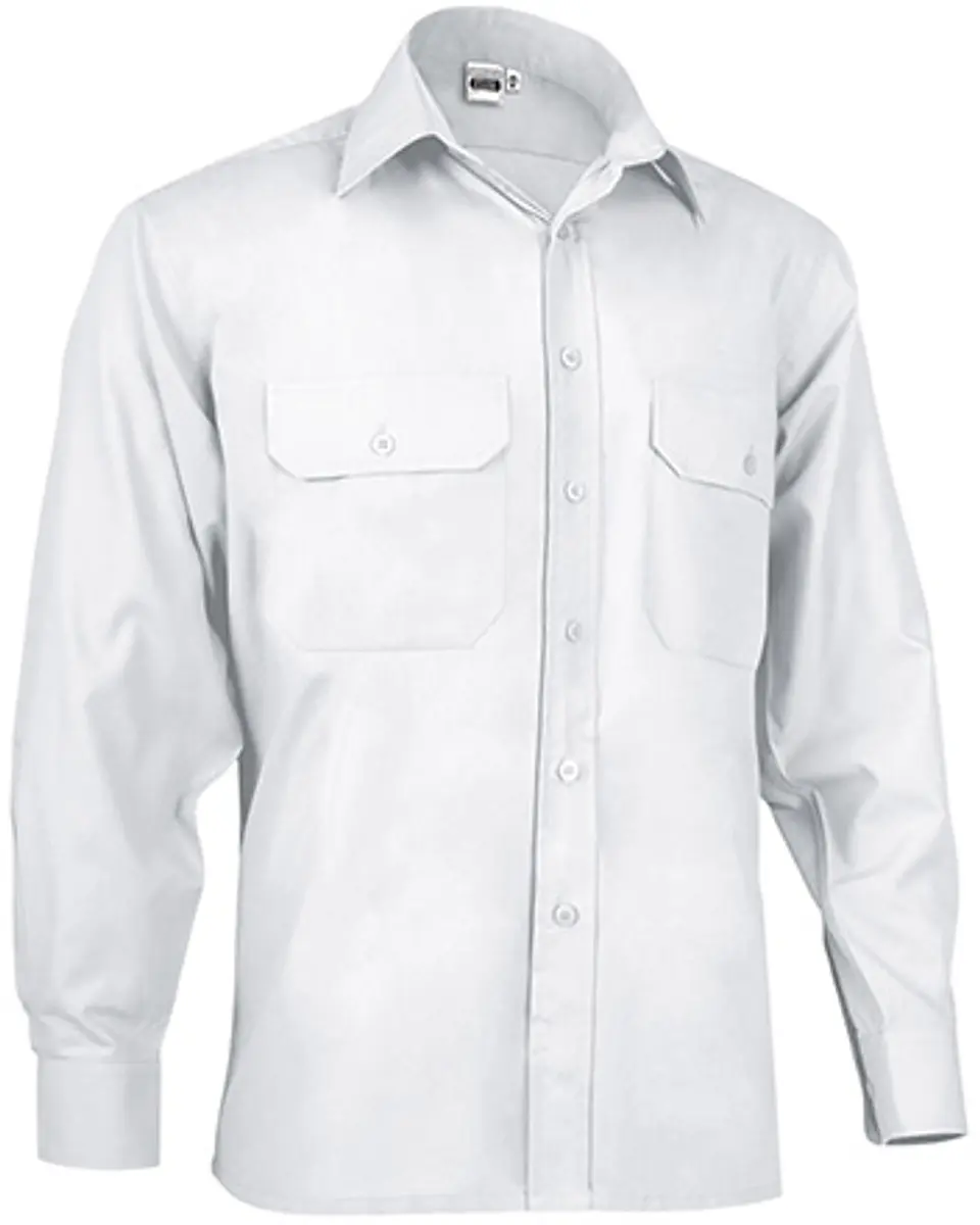 Camisa M/L ACADEMY 1