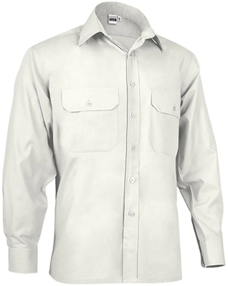 Camisa M/L ACADEMY 2