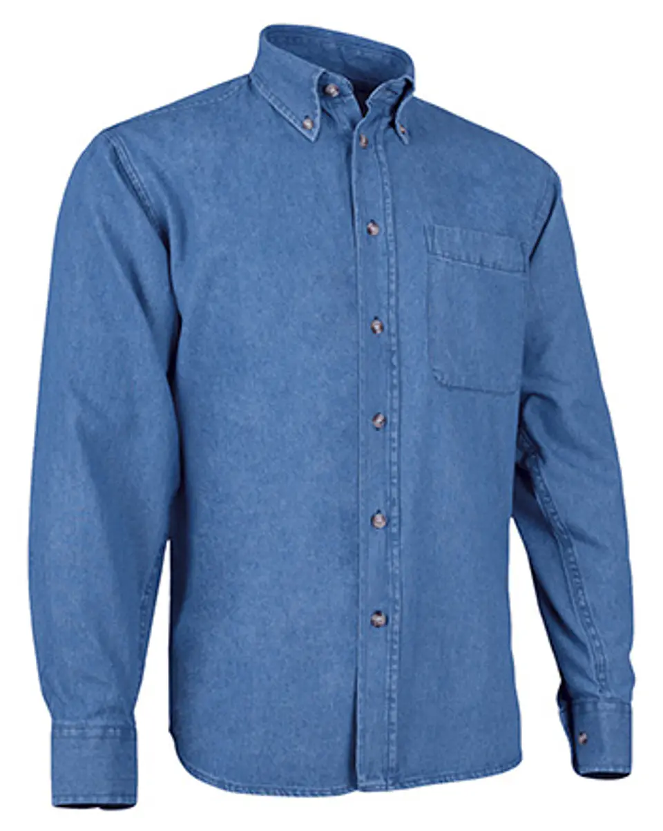 Camisa M/L LION 1