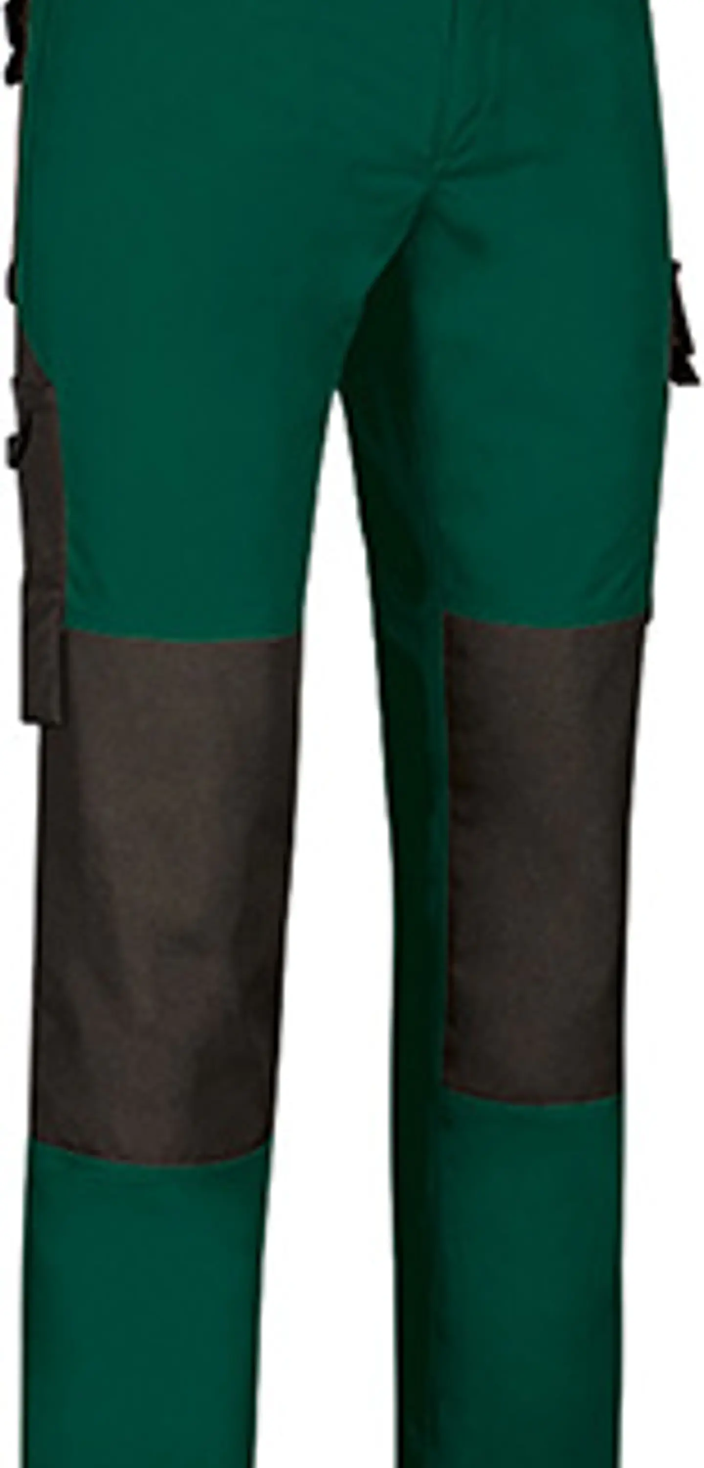 Pantalón DYNAMITE 2