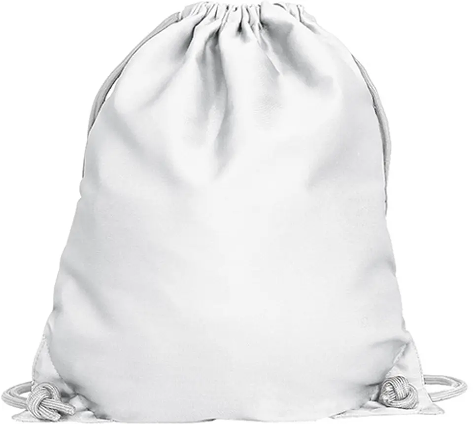 Mochila ALCEO 1