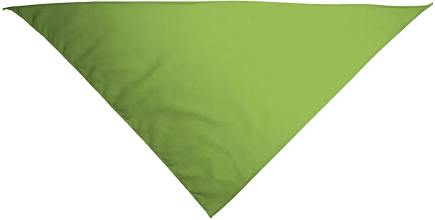 Pañuelo triangular GALA 2