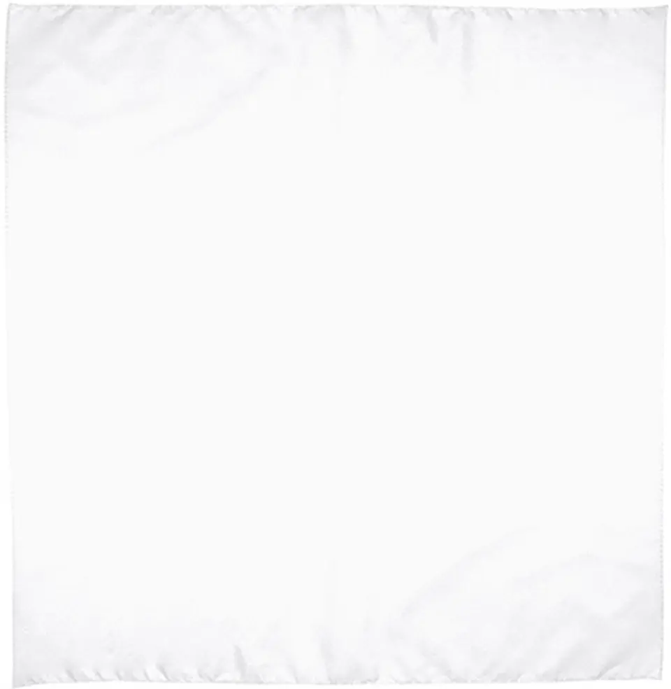 Pañuelo cuadrado BANDANA 1