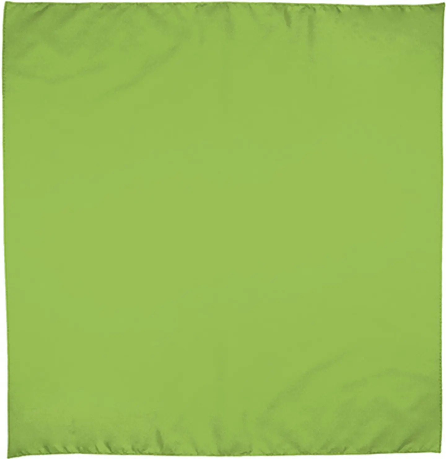 Pañuelo cuadrado BANDANA 2