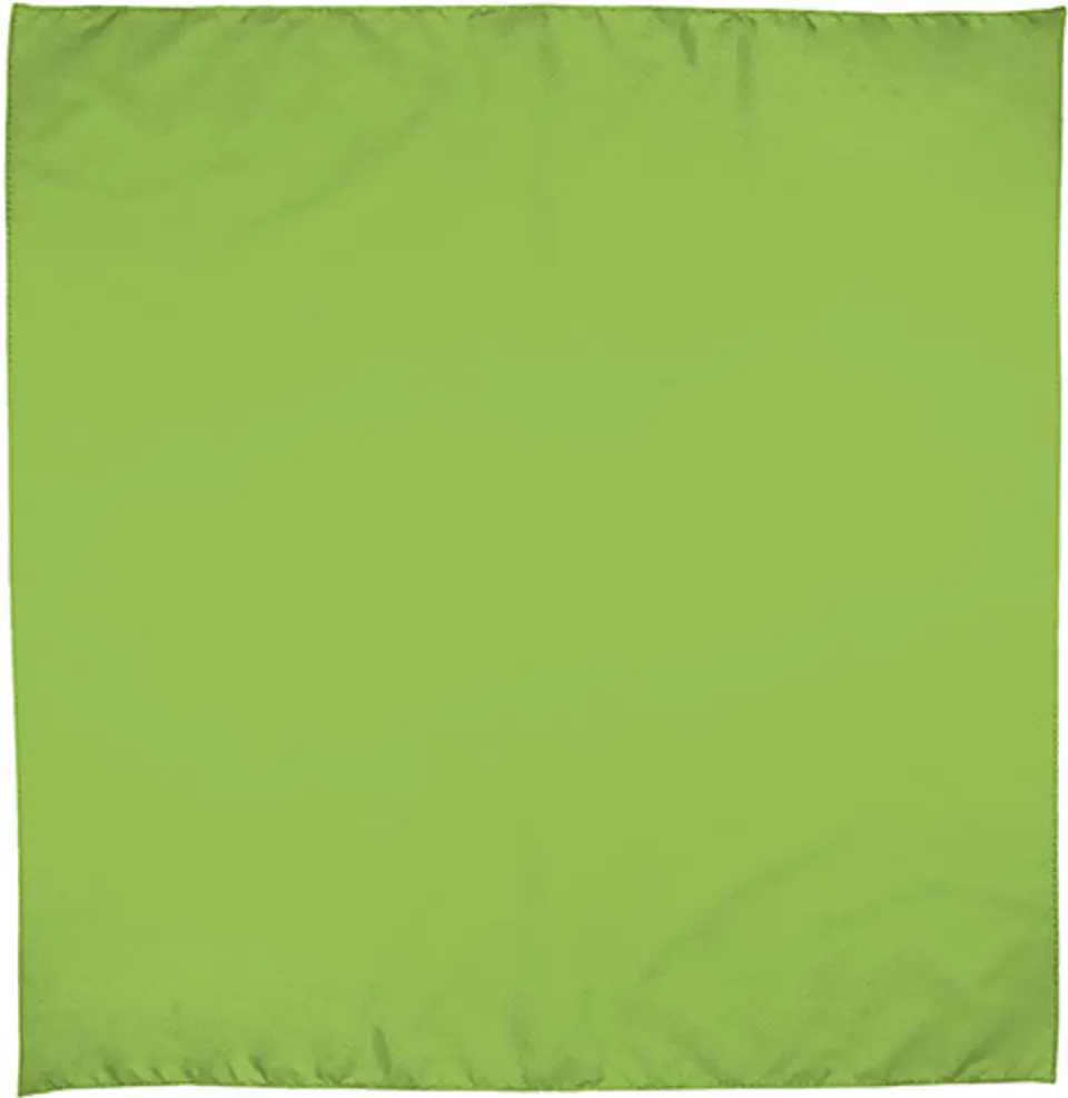 Pañuelo cuadrado BANDANA 2