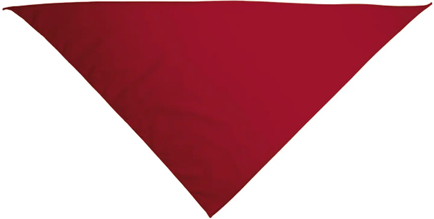 Pañuelo triangular GALA 6