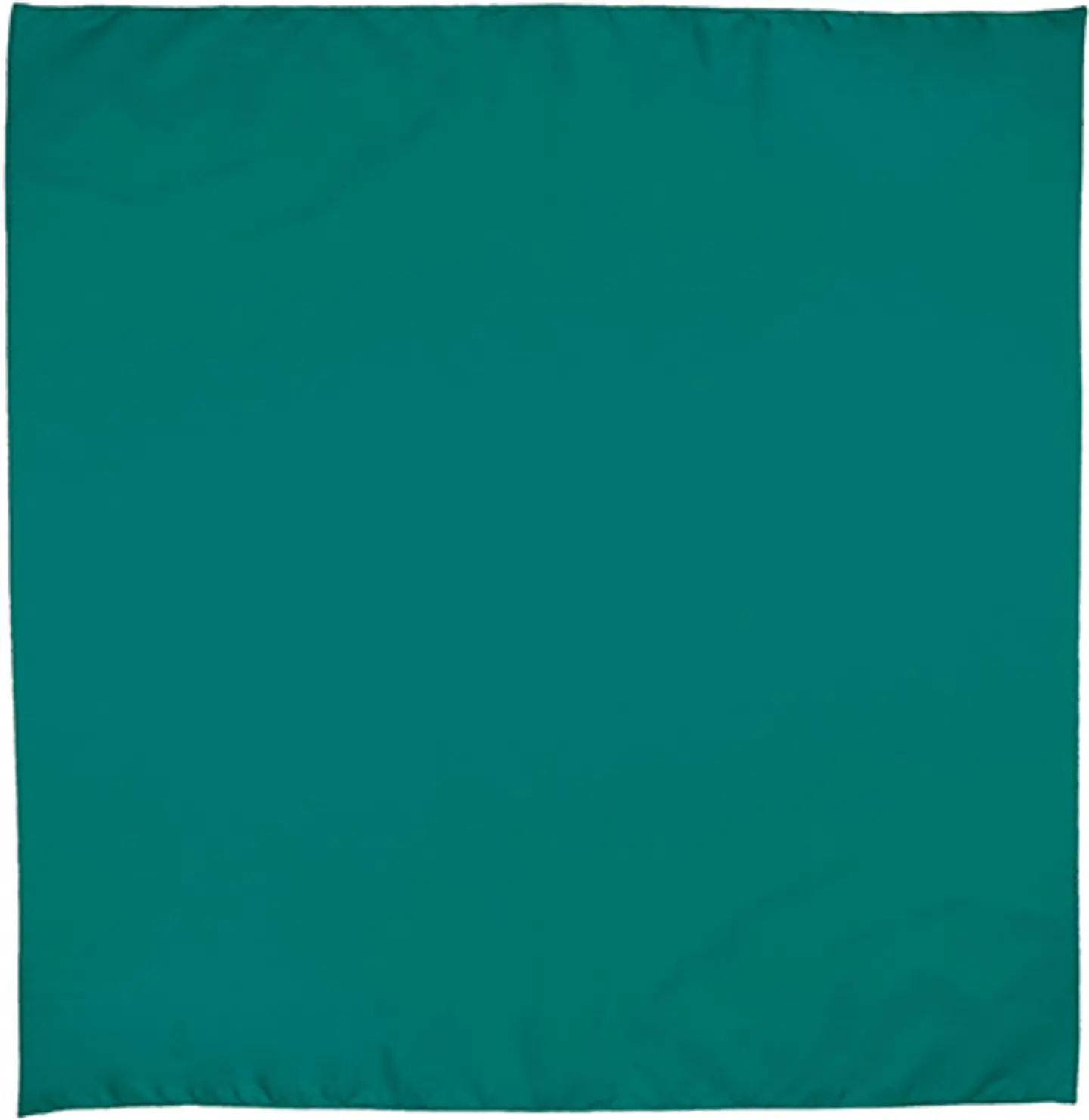 Pañuelo cuadrado BANDANA 3
