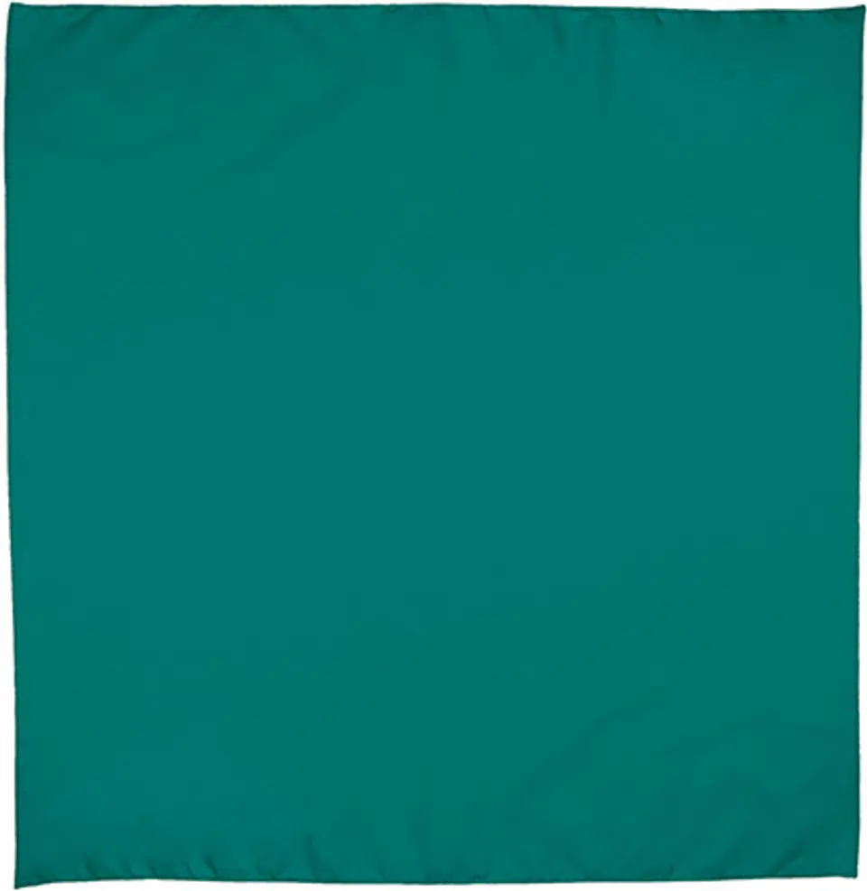 Pañuelo cuadrado BANDANA 3