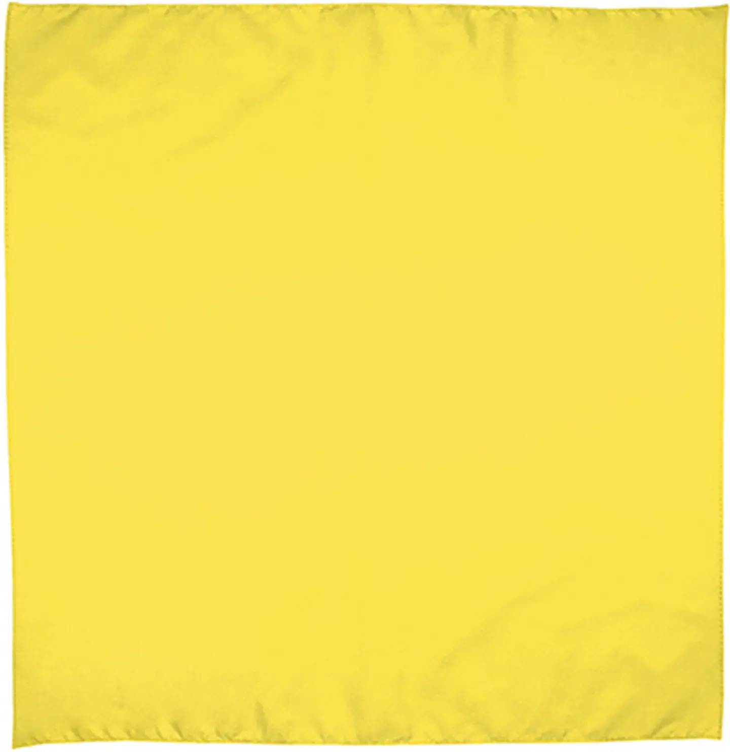 Pañuelo cuadrado BANDANA 4