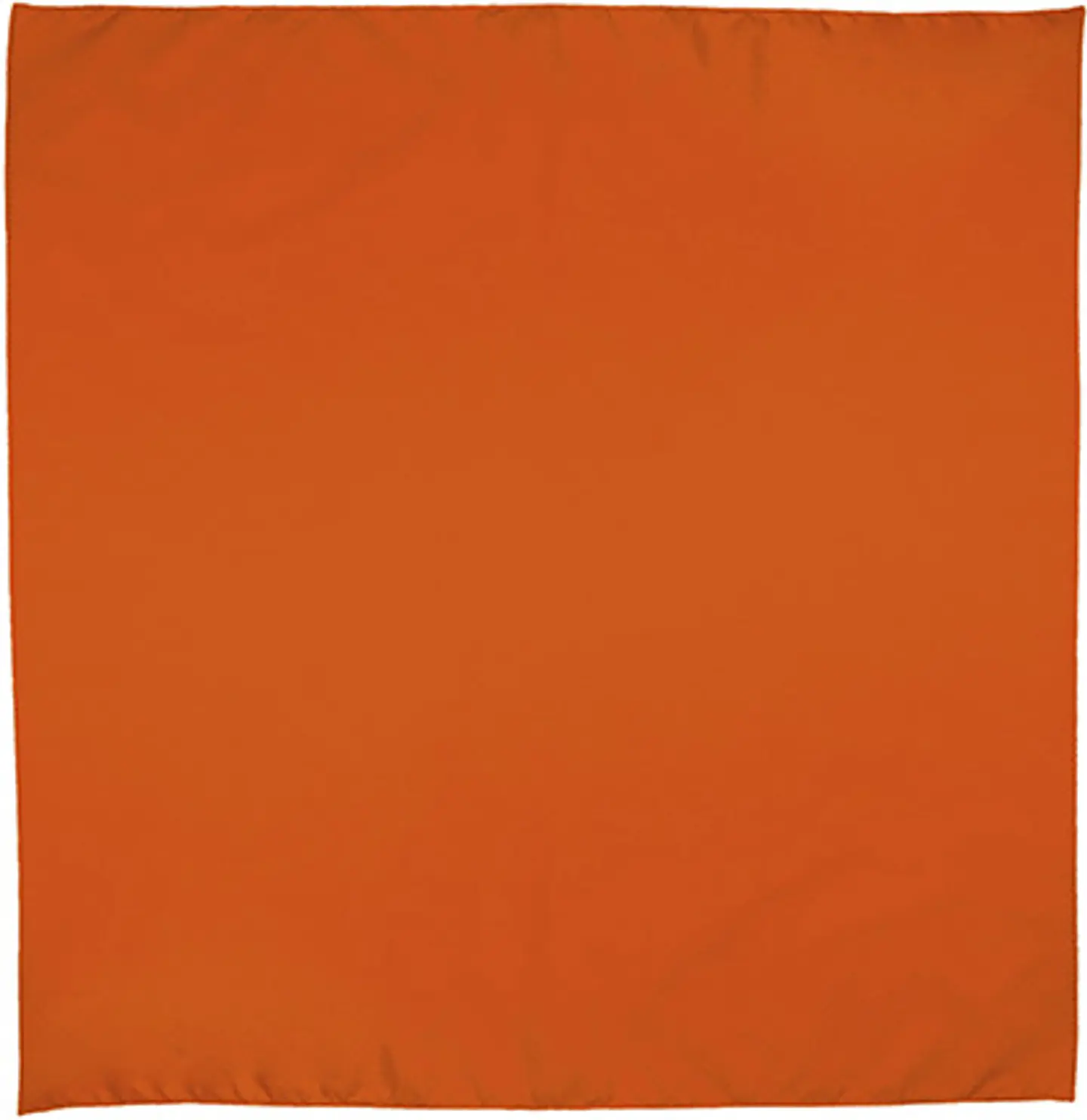 Pañuelo cuadrado BANDANA 5