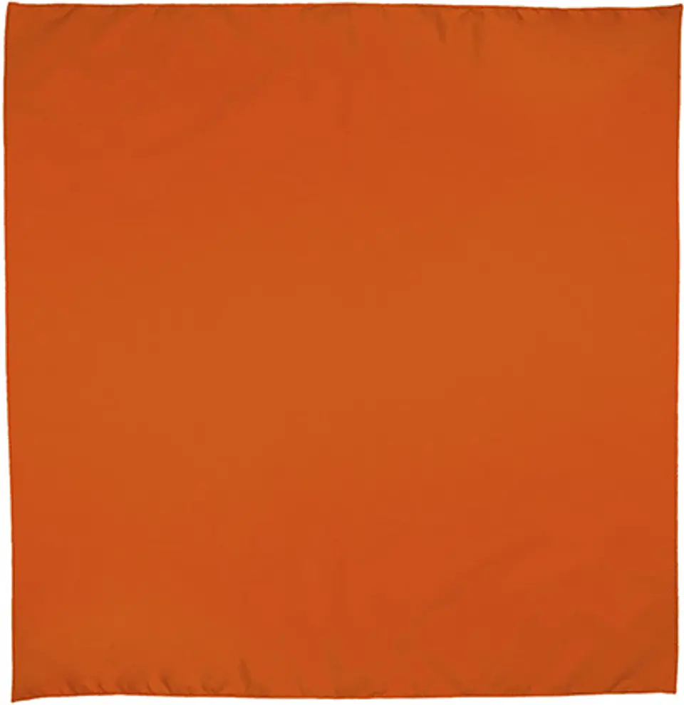 Pañuelo cuadrado BANDANA 5
