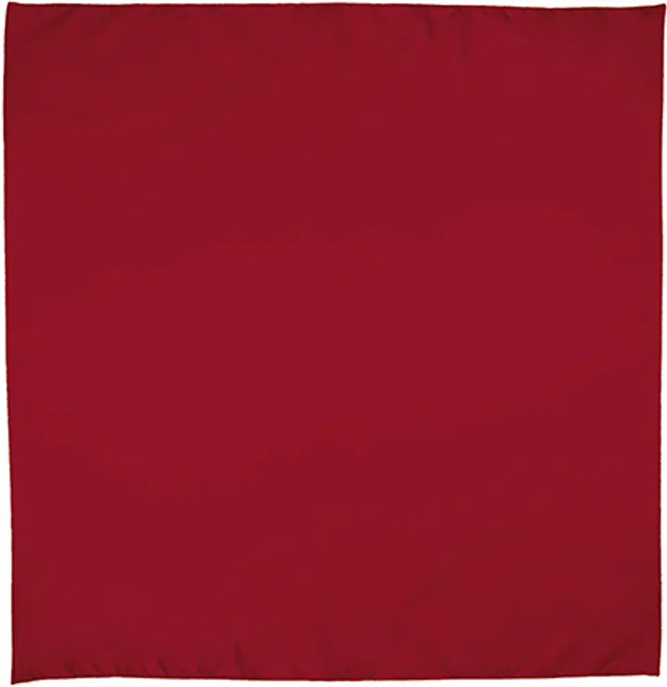 Pañuelo cuadrado BANDANA 6