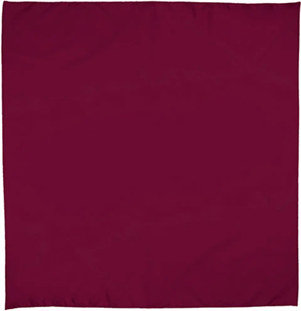Pañuelo cuadrado BANDANA 7