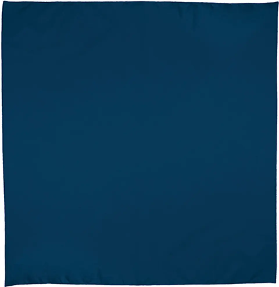 Pañuelo cuadrado BANDANA 11