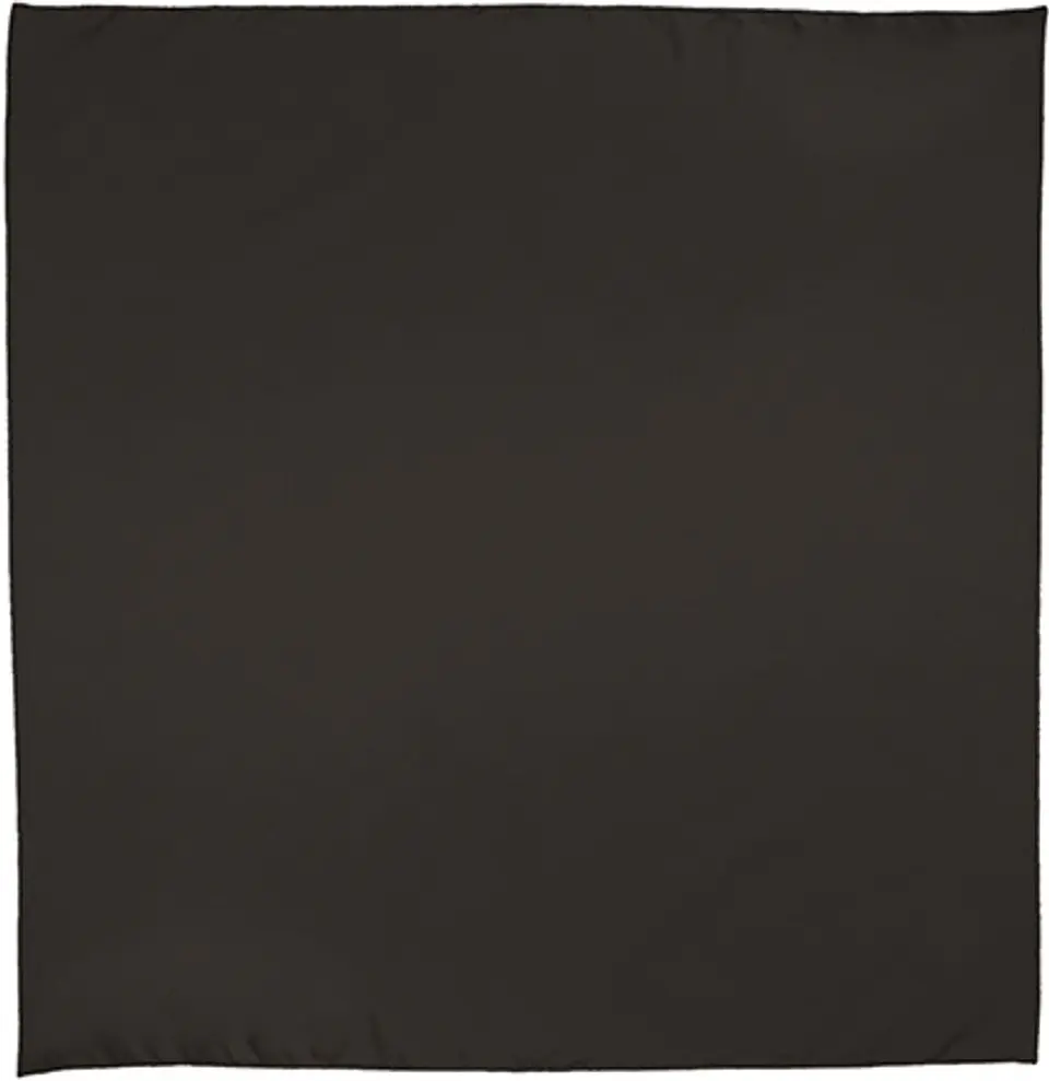 Pañuelo cuadrado BANDANA 12
