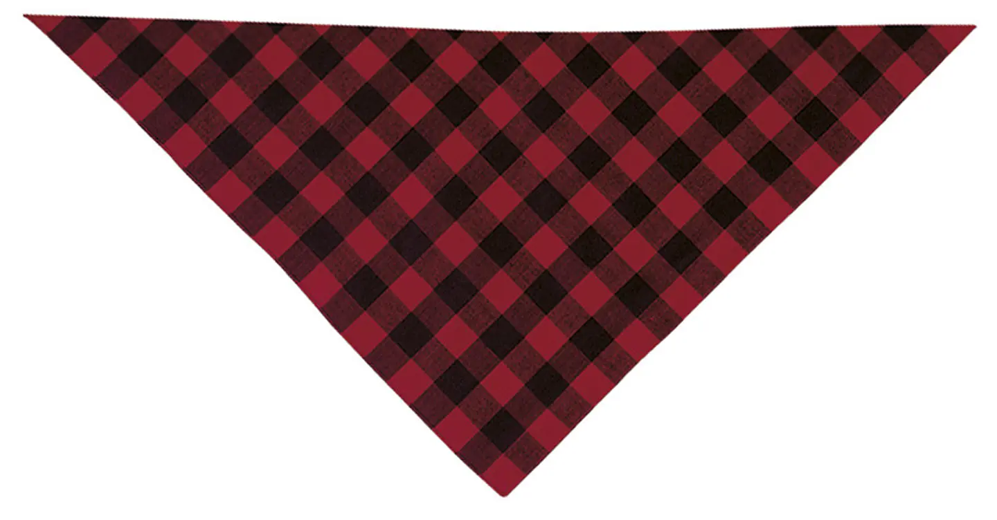 Pañuelo triangular CACHIRULO 1