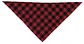 Pañuelo triangular CACHIRULO - Thumbnail 1