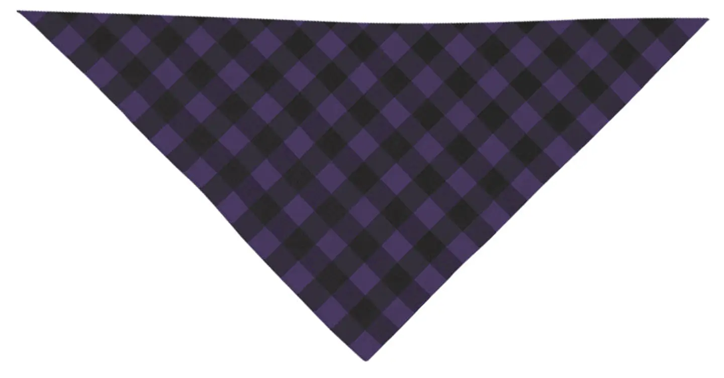 Pañuelo triangular CACHIRULO 2