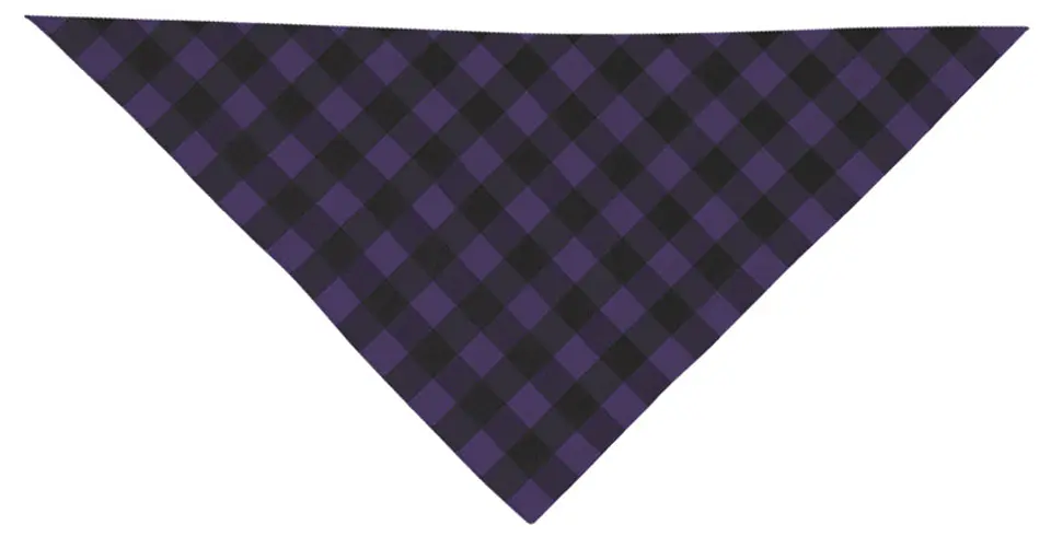 Pañuelo triangular CACHIRULO 2