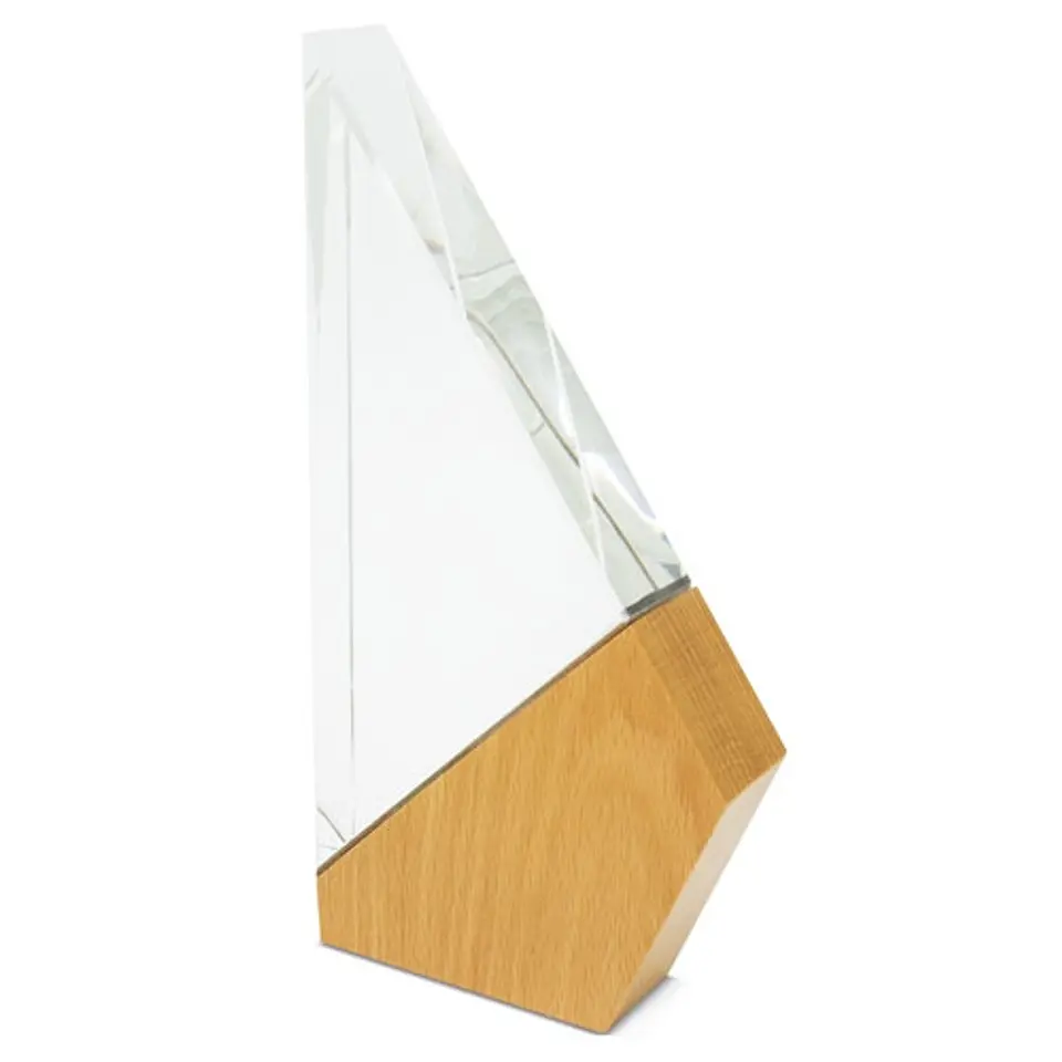 TROFÉU MODELO 