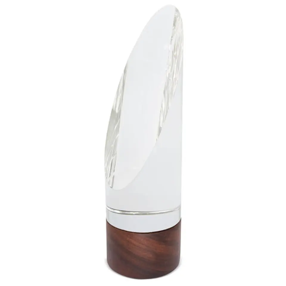 TROFÉU MODELO 