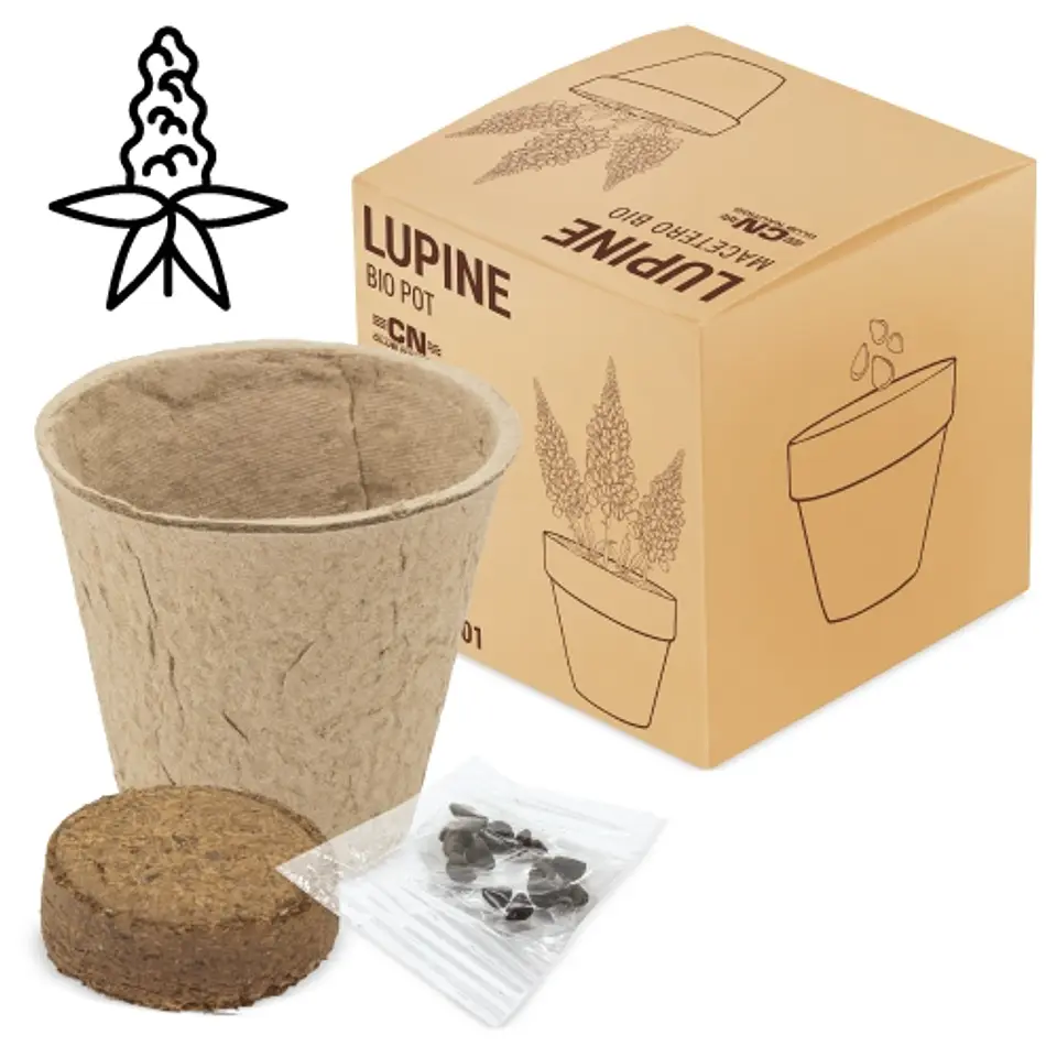VASO BIO LUPINE 