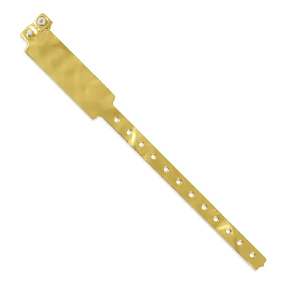 PULSEIRA REGISTRO 1