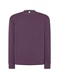 Crew Neck Sweatshirt - Thumbnail 29
