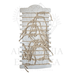 Pulsera/Tobillera conchas con tortuga