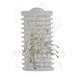 Pulsera/Tobillera conchas con estrella turqueza