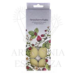 Velas flotantes con aroma 