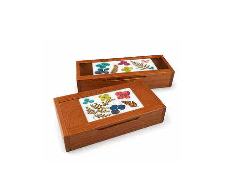 Cajas de Raulí con flores secas y resina