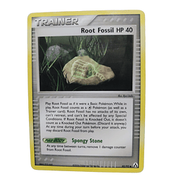 80/92 - Root Fossil