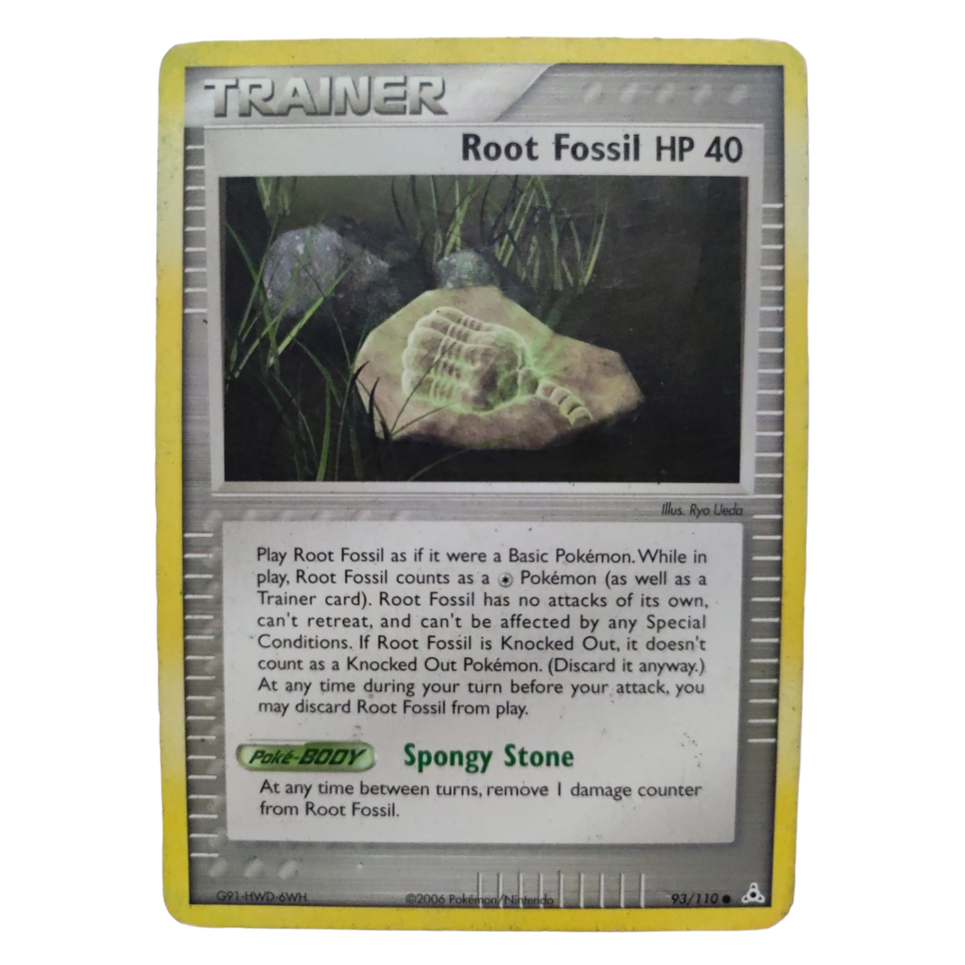 93/110 - Root Fossil