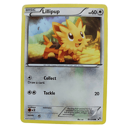 81/114 - Lillipup