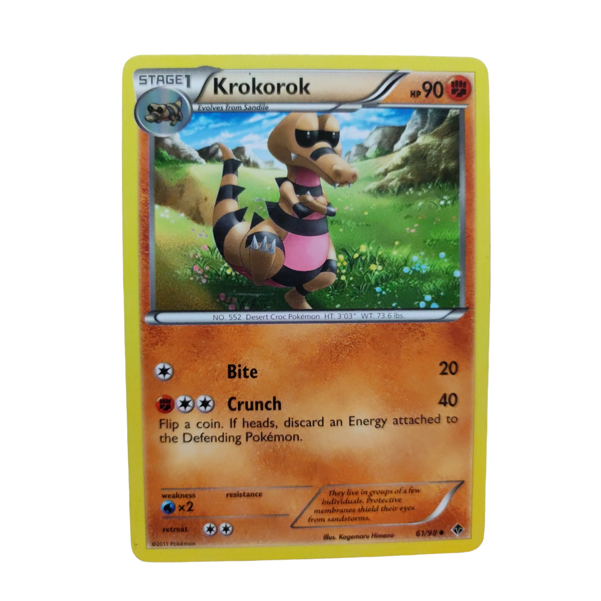 61/98 - Krokorok