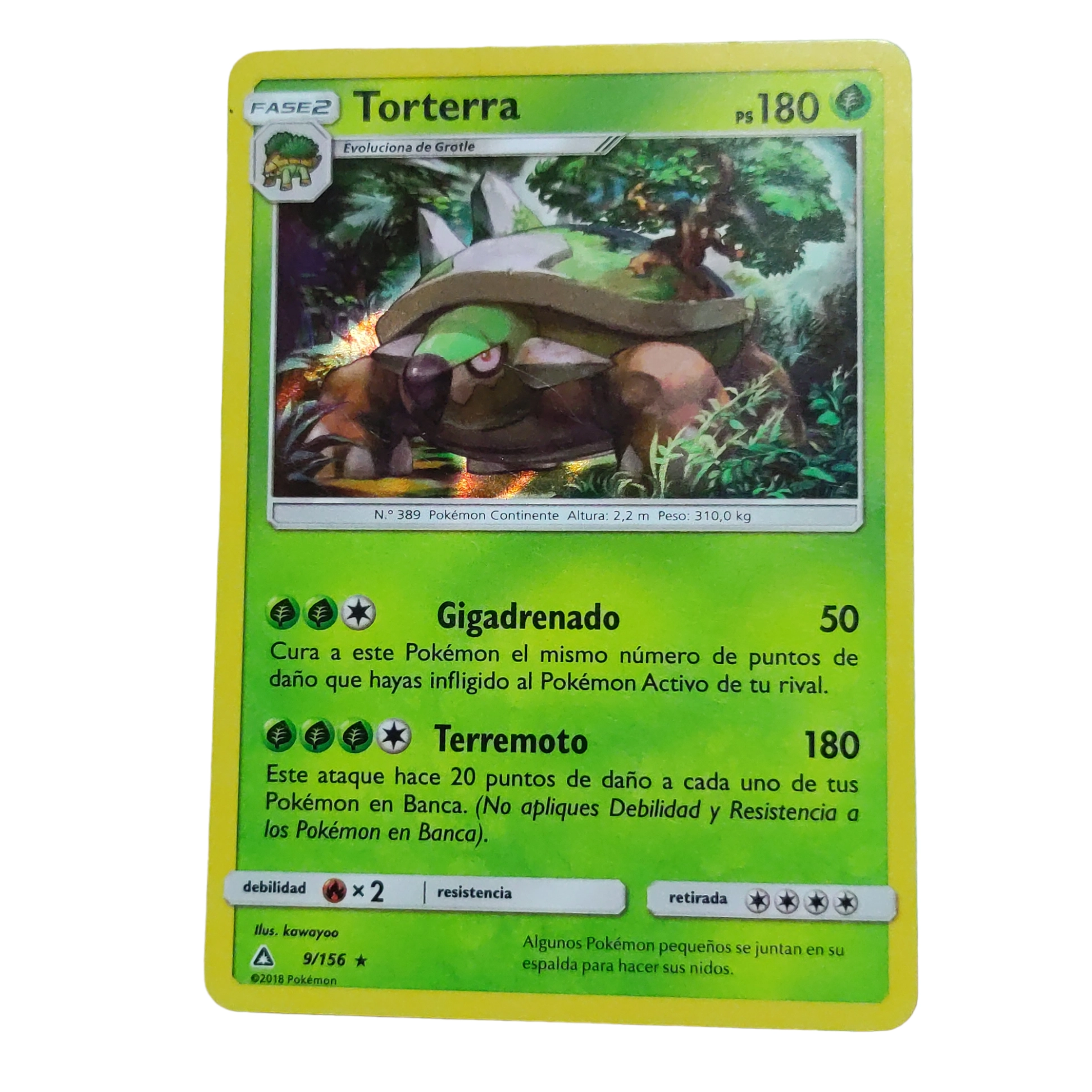 9/156 - Torterra -Holo (español)