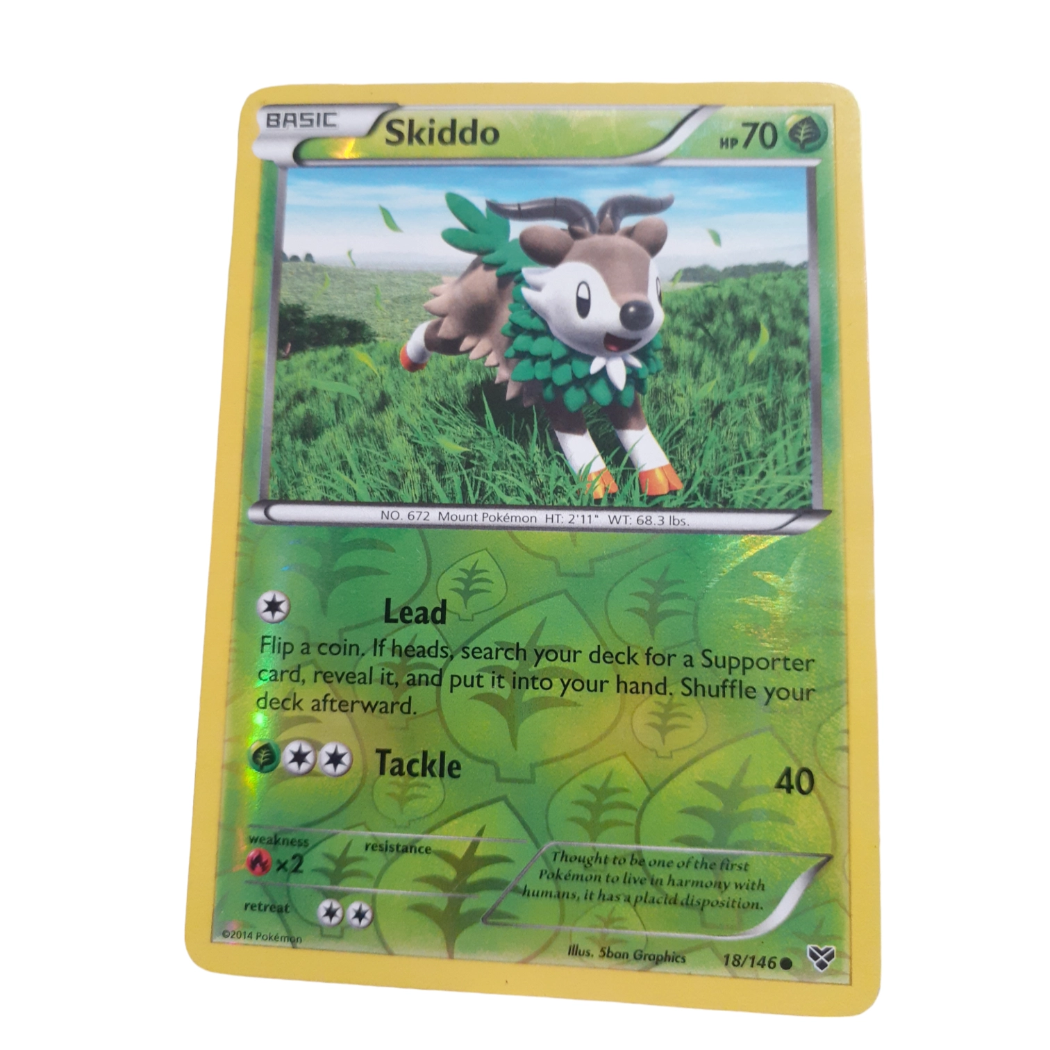 18/146 - Skiddo -Reverse Holo