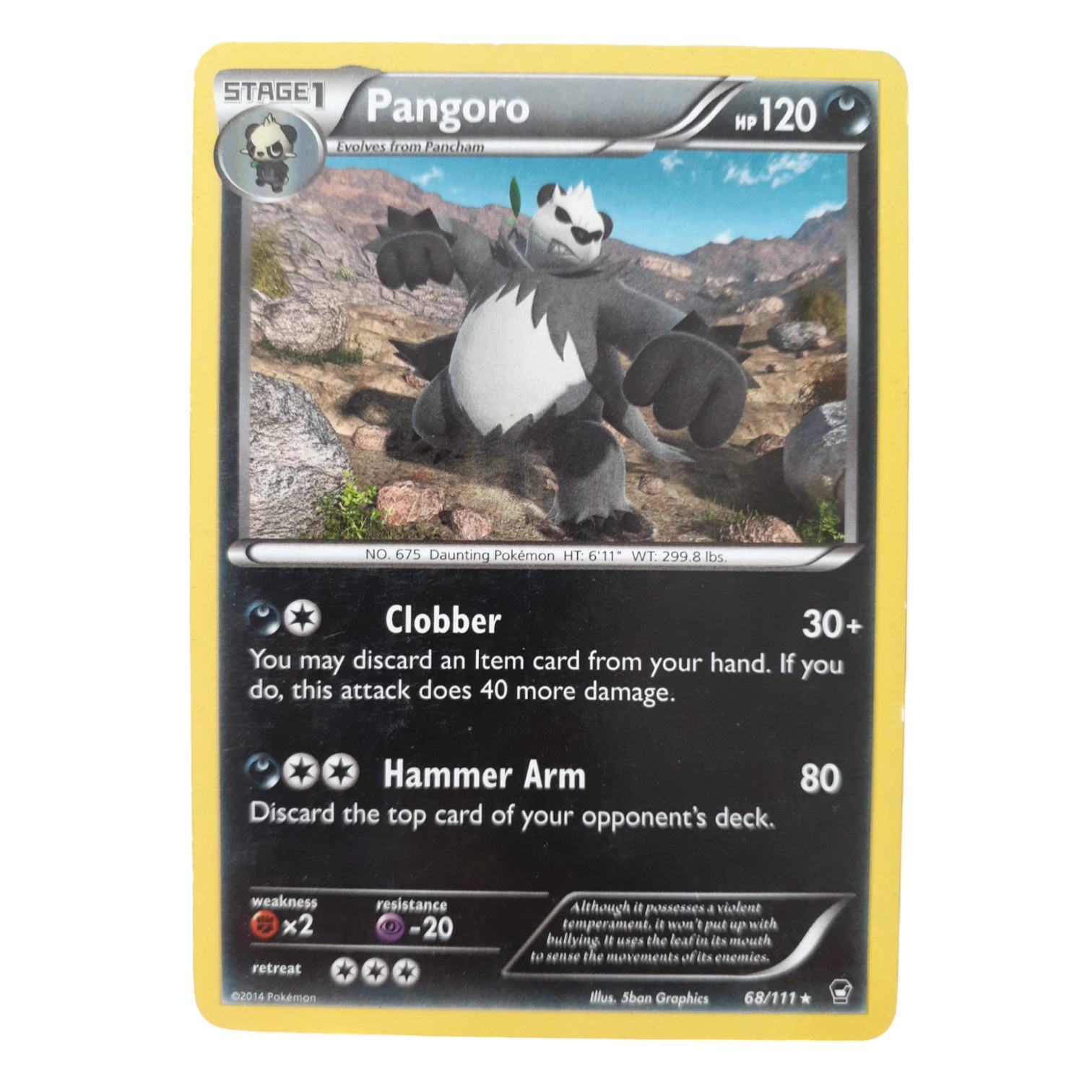 68/111 - Pangoro